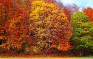 Steuerliche-Neuigkeiten-Herbst